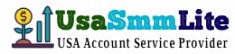usasmmlite logo